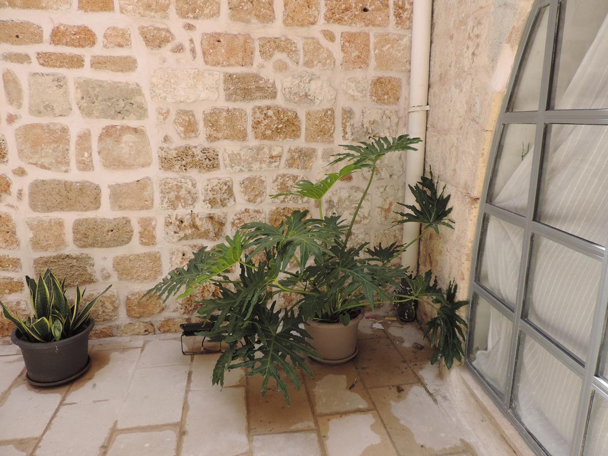 فيلا عكافي The Sultan House المظهر الخارجي الصورة